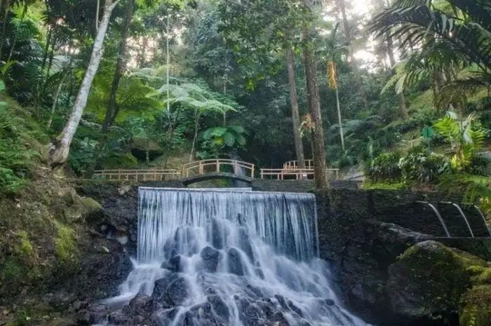 Curug Cipeuteuy, Air Terjun Tersembunyi di Majalengka yang Menakjubkan